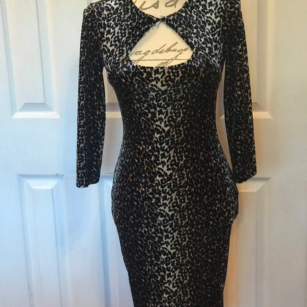 COPY - Coach Dress